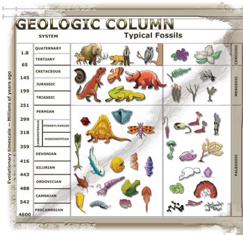 Geologic column