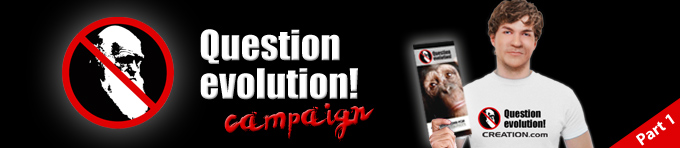 8223evolution-campaign.jpg