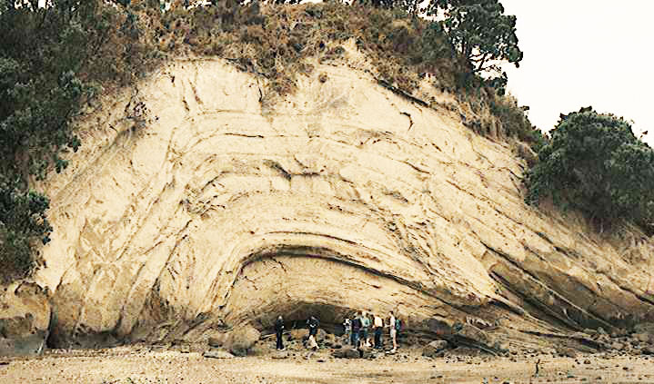 http://creation.com/images/fp_articles/2009/6685Eastern-Beach-Syncline-lge.jpg