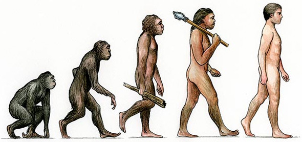 An icon of evolutionism. Apes-to-humans often shows ancestral hominids as dark skinned