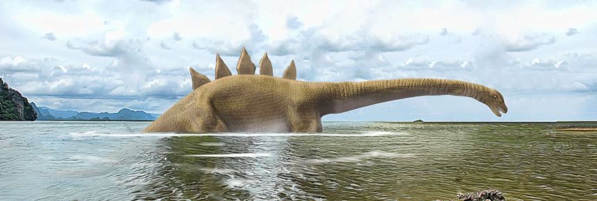 Figure 10: The creature observed at Gasmata Reef held its head and neck (about 3 metres long) just above the water and was described as having a 
‘saw’ in the middle of its back.  The visible part of the creature was estimated to be about 8 metres (26 feet) in length—but its total body length was likely 
considerably greater, given its tail was submerged and out of view.