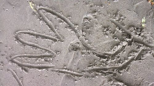 Figure 13:  The footprint of the ‘Doren’—as drawn in the sand by Ben (Figure 12). 