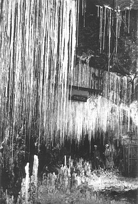 This photo, which can be seen on p. 26 in the booklet Stones and Bones, was instrumental in the conversion (to Christ) of a New Zealand man, 
who’d previously thought that stalagmites and stalactites needed millions of years to form.  The above photo shows an array of stalagmites and stalactites inside a mining 
tunnel at Mt Isa, Queensland, Australia (note for scale, helmeted miners, bottom right).  The tunnel was only about 50 years old when this photo was taken.