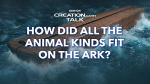 How Did All the Animal Kinds Fit on the Ark?