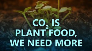 CO2 is plant food – we need more