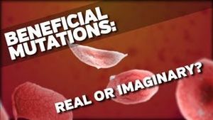 Beneficial mutations: real or imaginary?