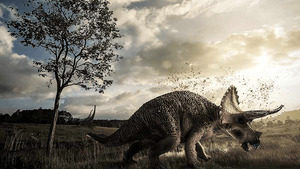 Soft flexible nerves found in Triceratops bone