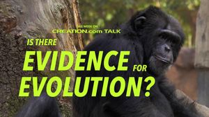 Is There Evidence for Evolution?