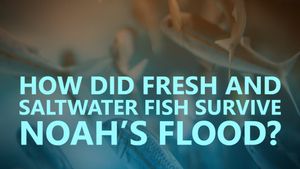 How did fresh and saltwater fish survive Noah’s Flood?