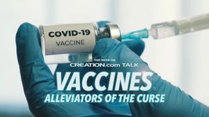 Vaccines: Alleviators of the Curse