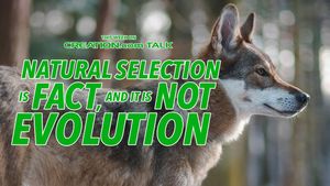 Natural Selection Is Fact, & It Is NOT Evolution
