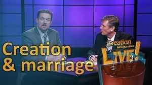 Creation and marriage 