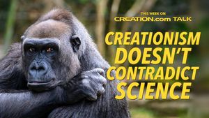 Are Creationists Actually Hyper Evolutionists?