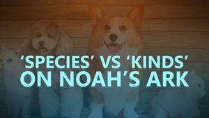 ‘Species’ vs ‘Kinds’ on Noah’s Ark