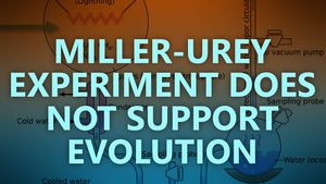 Evidence against evolution the Miller-Urey experiment