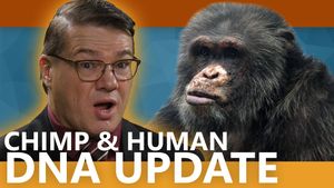 Chimp-Human DNA: Less similar than previously reported