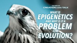 What is Epigenetics and Why it is a Problem for Evolution?