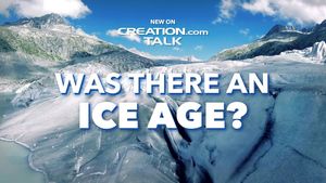 Was There An Ice Age?