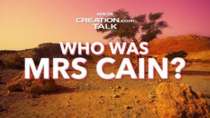 Who was Mrs Cain?