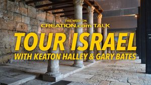 Tour Israel With Keaton Halley and Gary Bates