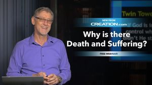 Why Is There Death and Suffering?