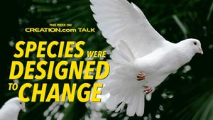 Three Myths About Species Changing Over Time