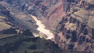 Grand Canyon strata supports Noah's Flood