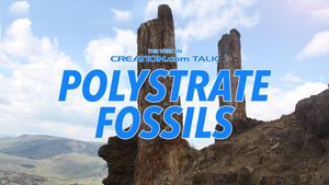 Polystrate Fossils