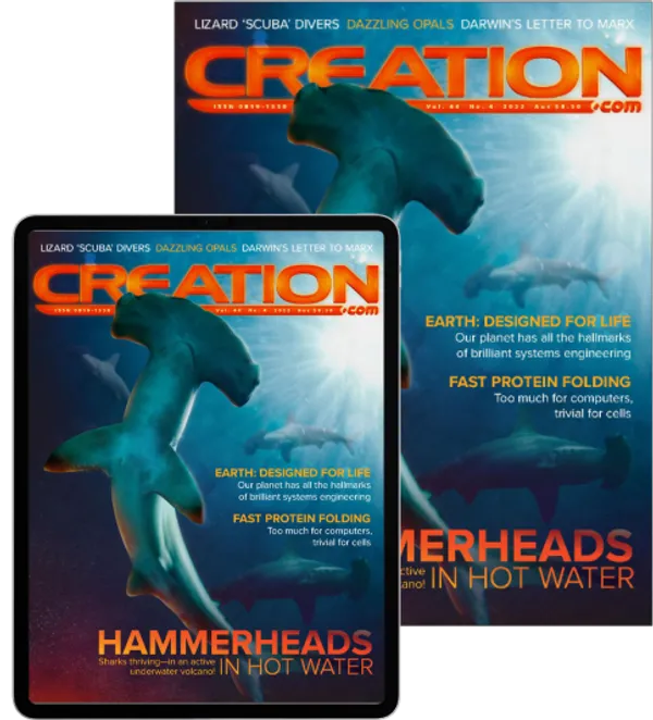 Creation magazine
