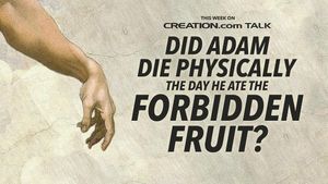 Did Adam Die Physically When He Ate the Forbidden Fruit?