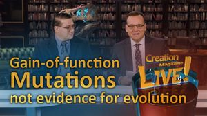 Gain of function mutations: not evidence for evolution