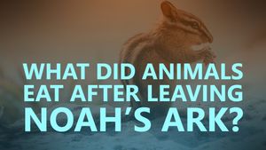 What did animals eat after leaving Noah’s Ark?