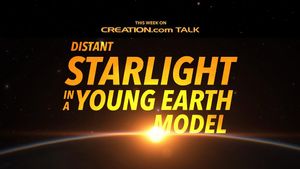 Distant Starlight in a Young Earth Model