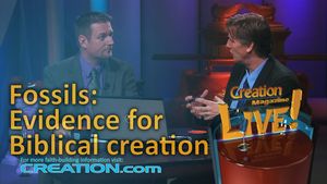 Fossils: Evidence for Biblical creation 