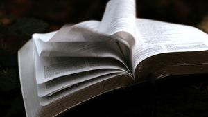 What Does the New Testament Say About Genesis?