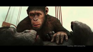 The whites of their eyes - How Hollywood makes apes look human