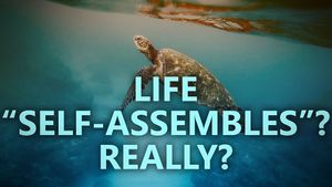 Life “self-assembles”? Really?