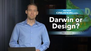 Darwin or Design?
