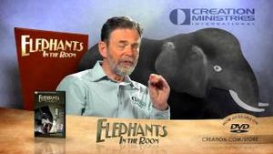 "Elephants in the Room" by Dr Mark Harwood