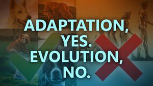 Adaption, yes. Evolution, no.