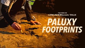 Paluxy Footprints