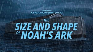 The Size and Shape of Noah’s Ark