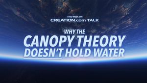 Why the Canopy Theory Doesn’t Hold Water