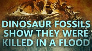 Dinosaur fossils suggest they were killed in a flood