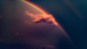 Rainbows, the Covenant, and the Flood