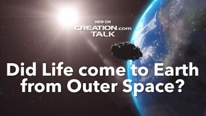 Did Life Come to Earth From Outer Space?