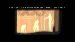 Jonathan Sarfati - Does our DNA show that we came from apes?
