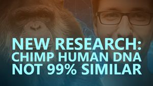 New research: Chimp Human DNA not 99% similar