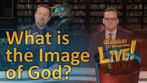 What is the image of God?