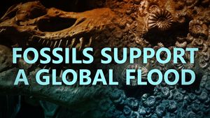 Fossils support a global flood